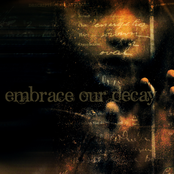 we embrace our decay