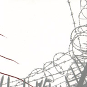 Fairy Glen Appearances