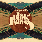 The Dark Leaves Theme by Matt Pond Pa