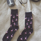 Duas Músicas de Flerte Flamingo