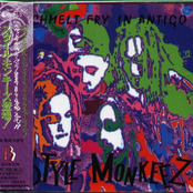 Schmelt Fry in Antigo