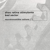 Neurotransmitter Actions