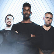 animals as leaders