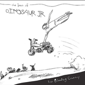 Ear Bleeding Country - The Best Of Dinosaur Jr. Album Picture