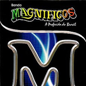 Não Quero Dinheiro by Banda Magníficos