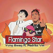 Yvng Swag: Flamingo Star