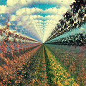 Tame Impala: Innerspeaker