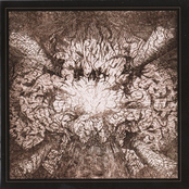 Five candles burning red