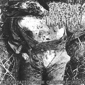 Intoxication from Cadaveric Reek - Single