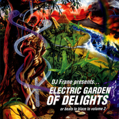 Electric Garden Of Delights (Or, Beats To Blaze To Volume 2)