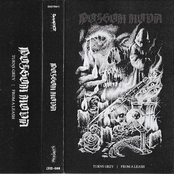 Turns Grey/From A Leash