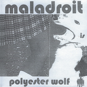 Polyester Wolf
