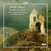 Mayer: Symphony No. 4 in B Minor (Reconstructed by Andreas N. Tarkmann) & Symphony No. 6 in E Major