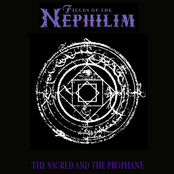 Senseless by Fields Of The Nephilim