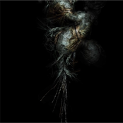 Kaessariah Heel Een Leven Lang