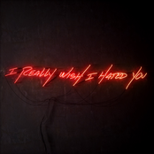 I Really Wish I Hated You - Single