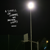 A Smell Of Summer And Broken Wrists