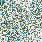 A Separate Way Of Being