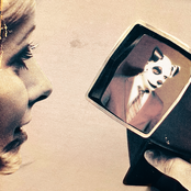 Console Caught Dreaming