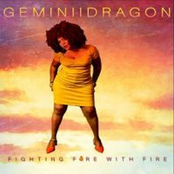 GeminiiDRAGON: Fighting Fire with Fire