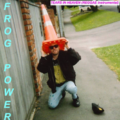 tears in heaven (reggae instrumental)