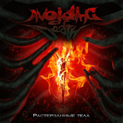 Растерзанные Тела