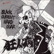 BLACK CURRENT HARD COAR