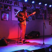 Live Collection