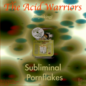 Desert Wall Flower by The Acid Warriors