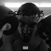 SPAR 003