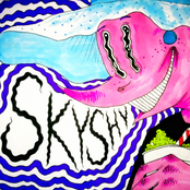 SkyShy
