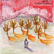 red sky and orange trees