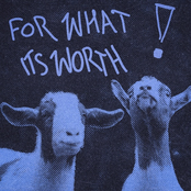 FOR WHAT ITS WORTH (Deluxe)