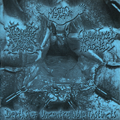 Depths Of Uncontrollable Instincts