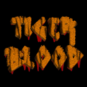 tiger blood