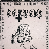 Corneus / Grollfried