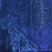 Embraced and Reassured (A Compilation of Field Recordings)