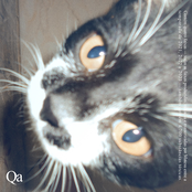 Qa