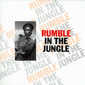 Rumble in the jungle