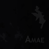 AMAE