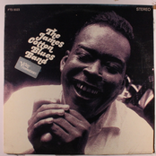 james cotton blues band