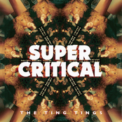 Super Critical by The Ting Tings