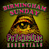 Psychedelic Essentials