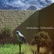 The Wunder Tales-MP3