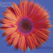 Electric Flowers
