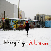 All The Dogs Are Lying Down by Johnny Flynn