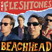 Do Something For Me by The Fleshtones