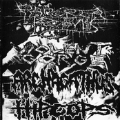 archagathus / hip cops / viol