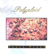 Season by Polyploid