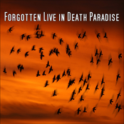 Forgotten Live In Death Paradise